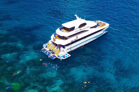 Great Barrier Reef Snorkeling And Diving Cruise From Cairns - Lismore Accommodation 5