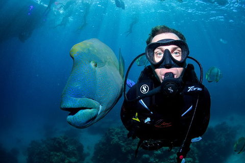 Full Day Reef Cruise Including 10 Minute Heli Scenic Flight: Get High Package - Lismore Accommodation 1