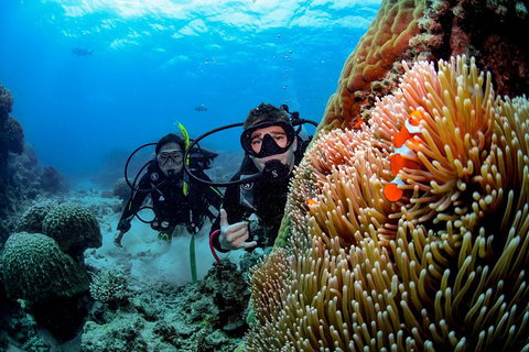 Full Day Reef Cruise Including 10 Minute Heli Scenic Flight: Get High Package - Lismore Accommodation 5