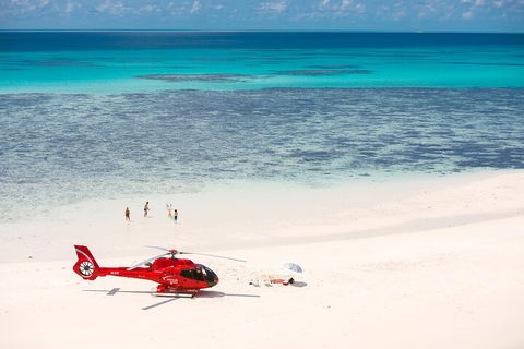 Private Helicopter Tour: Reef Island Snorkeling And Gourmet Picnic Lunch - Lismore Accommodation 2