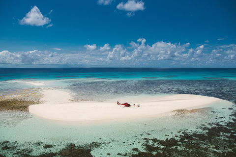 Private Helicopter Tour: Reef Island Snorkeling And Gourmet Picnic Lunch - Lismore Accommodation 4