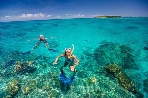 Fly To Green Island - Cruise Return - Lismore Accommodation 4