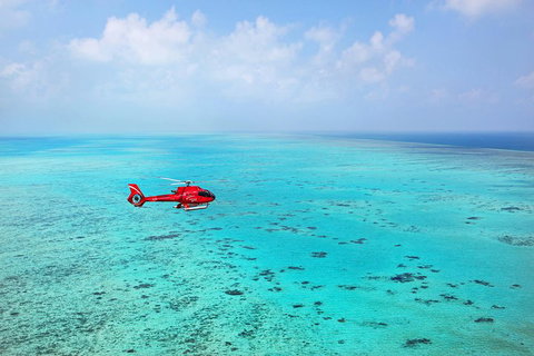 Helicopter And Cruise Packages From Port Douglas - Lismore Accommodation 1