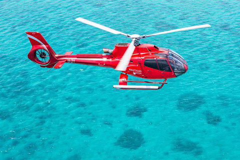 Helicopter And Cruise Packages From Port Douglas - Lismore Accommodation 5