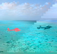 Port Douglas Scenic Flights - Lismore Accommodation