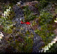 Ultimate Great Barrier Reef and Rainforest 45-minute Helicopter Tour - Lismore Accommodation