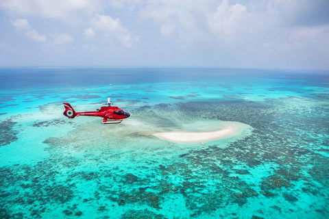 Ultimate Great Barrier Reef And Rainforest 45-minute Helicopter Tour - Lismore Accommodation 3