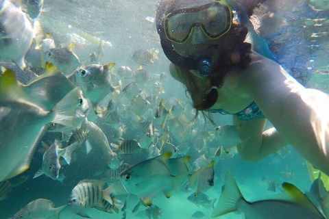 Moreton Island Snorkel And Sandboarding 4WD Day Trip From Brisbane - Lismore Accommodation 3