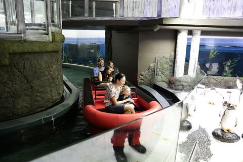 Sydney Attractions Pass: SEA LIFE Aquarium, Sydney Tower Eye, WILD LIFE Zoo And Madame Tussauds - Lismore Accommodation 0