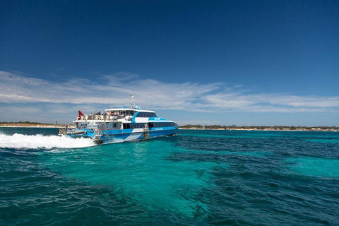 Rottnest Island All-Inclusive Grand Island Tour From Fremantle - Lismore Accommodation 3
