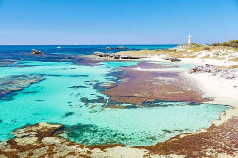 Rottnest Island Bike & Ferry Package From Fremantle - Lismore Accommodation 5