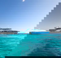 Rottnest Island Bike Snorkel  Ferry Package from Fremantle - Lismore Accommodation