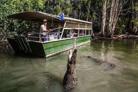 Hartley's Crocodile Adventures Day Trip From Palm Cove - Lismore Accommodation 2