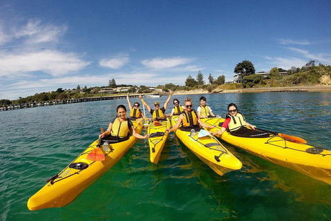 Mornington Peninsula Kayak Coastline Tour Of Dolphin Sanctuary - Lismore Accommodation 2