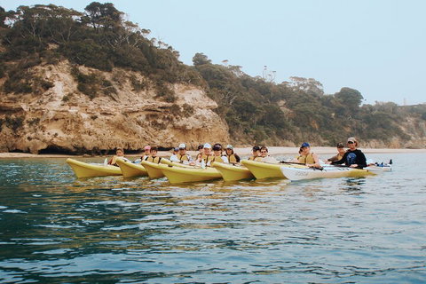 Mornington Peninsula Kayak Coastline Tour Of Dolphin Sanctuary - Lismore Accommodation 4