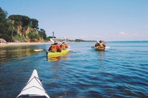 Mornington Peninsula Kayak Coastline Tour Of Dolphin Sanctuary - Lismore Accommodation 5