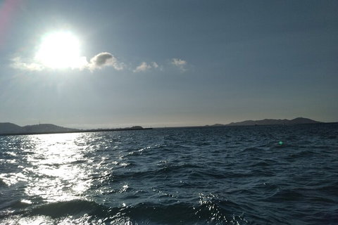 Townsville Small Group Early Morning Sailing Cruise Boat Tour Charter Hire - Lismore Accommodation 4