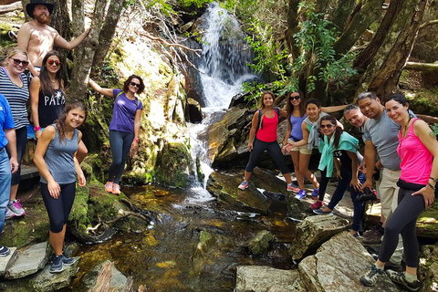 7-Day Super Value Tour Of Tasmania: Explore Tasmania's West And East Coasts - Lismore Accommodation 2