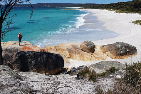 2-Day Tas East Coast Escape Tour Including Bay Of Fires, Wineglass Bay & Devils - Lismore Accommodation 4