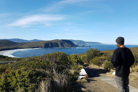 4-Day Fabulous Tasmania Tour: Wineglass Bay, Port Arthur, Devils & Bruny Island - Lismore Accommodation 0