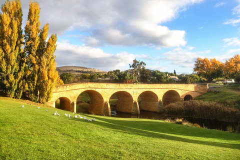 4-Day Fabulous Tasmania Tour: Wineglass Bay, Port Arthur, Devils & Bruny Island - Lismore Accommodation 1