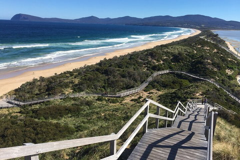 4-Day Fabulous Tasmania Tour: Wineglass Bay, Port Arthur, Devils & Bruny Island - Lismore Accommodation 5