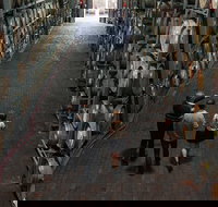 Wirra Wirra Vineyard McLaren Vale Winery Tour and Shiraz Masterclass - Lismore Accommodation