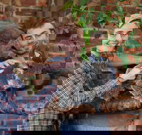 Private Tour Blue Mountains Day Trip from Sydney - Lismore Accommodation