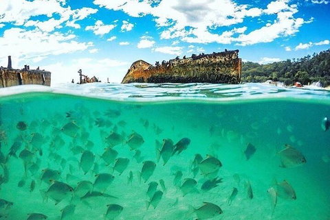 Adventure Moreton Island Day Pass - Lismore Accommodation 4