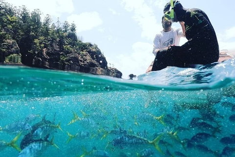 2 Night Small Group Whitsundays Sailing Adventure Aboard Mandrake - Lismore Accommodation 5