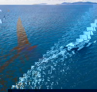 2-Night Whitsunday Islands Sailing Adventure on Trimaran Avatar - Lismore Accommodation
