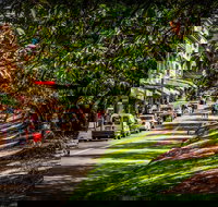 Fully Inclusive Blue Mountains Private Tour inc Scenic World  Featherdale entry - Lismore Accommodation