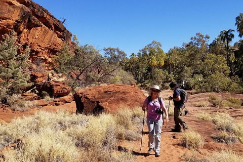 Palm Valley And Hermannsburg 1 Day 4WD Tour - Lismore Accommodation 1