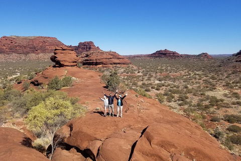 Palm Valley And Hermannsburg 1 Day 4WD Tour - Lismore Accommodation 3