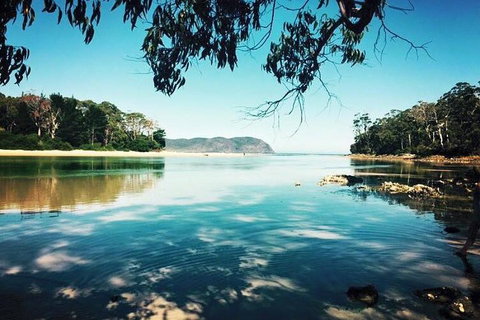 Full-Day Guided Bruny Island Tour From Hobart - Lismore Accommodation 1