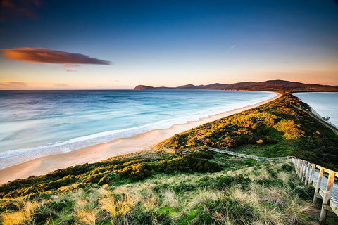 Full-Day Guided Bruny Island Tour From Hobart - Lismore Accommodation 2