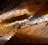 Windjana Explorer - Lismore Accommodation