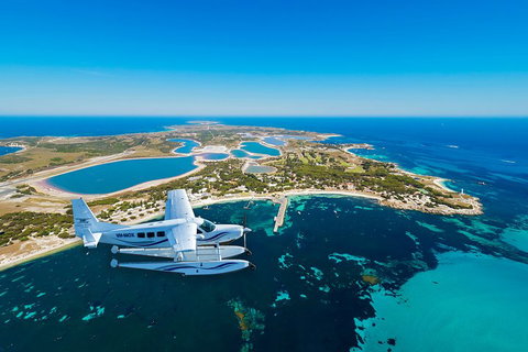 Full Day Tour By Seaplane To Rottnest Island Small Group Trip - Lismore Accommodation 1