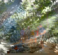 Mossman Gorge Adventure Day - Lismore Accommodation