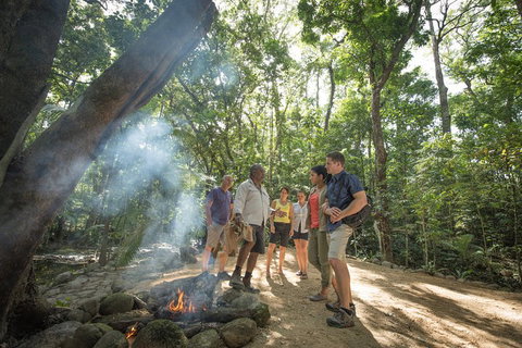 Mossman Gorge Adventure Day - Lismore Accommodation 0