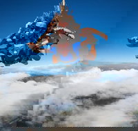 Reef and Rainforest Tandem Sky Dive in Cairns - Lismore Accommodation