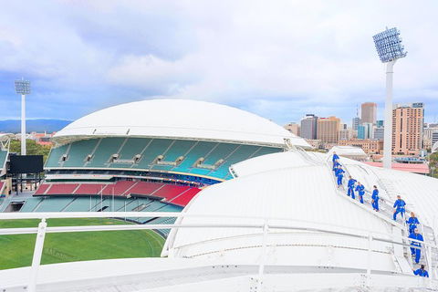RoofClimb Adelaide Oval Experience - Lismore Accommodation 4