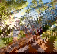 Uluru Small Group Tour including Sunset - Lismore Accommodation