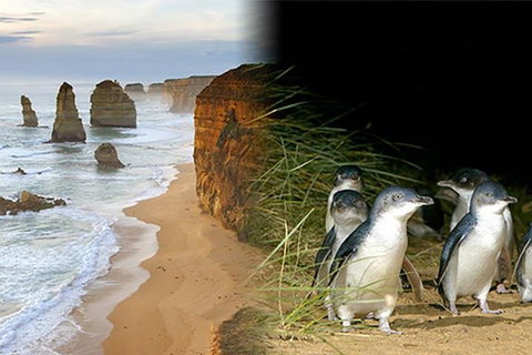 Melbourne Super Saver: Great Ocean Road + Phillip Island + Attraction Pass - Lismore Accommodation 0