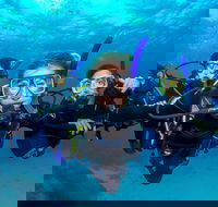 Great Barrier Reef Diving and Snorkeling Cruise from Cairns - Lismore Accommodation