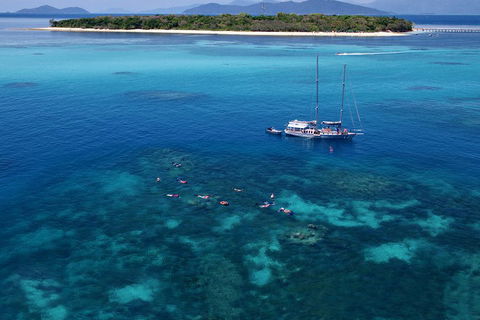 Ocean Free Green Island & Great Barrier Reef Snorkel Cruise, Cairns 25 Guests - Lismore Accommodation 2