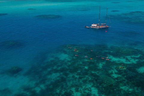 Ocean Free Green Island & Great Barrier Reef Snorkel Cruise, Cairns 25 Guests - Lismore Accommodation 5