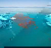 Ocean Freedom Great Barrier Reef Personal Luxury Snorkel  Dive Cruise Cairns - Lismore Accommodation