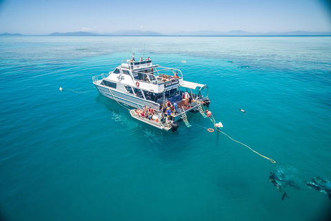 Ocean Freedom Great Barrier Reef Personal Luxury Snorkel & Dive Cruise, Cairns - Lismore Accommodation 0