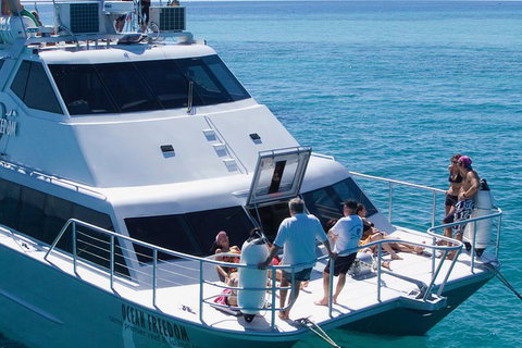 Ocean Freedom Great Barrier Reef Personal Luxury Snorkel & Dive Cruise, Cairns - Lismore Accommodation 1
